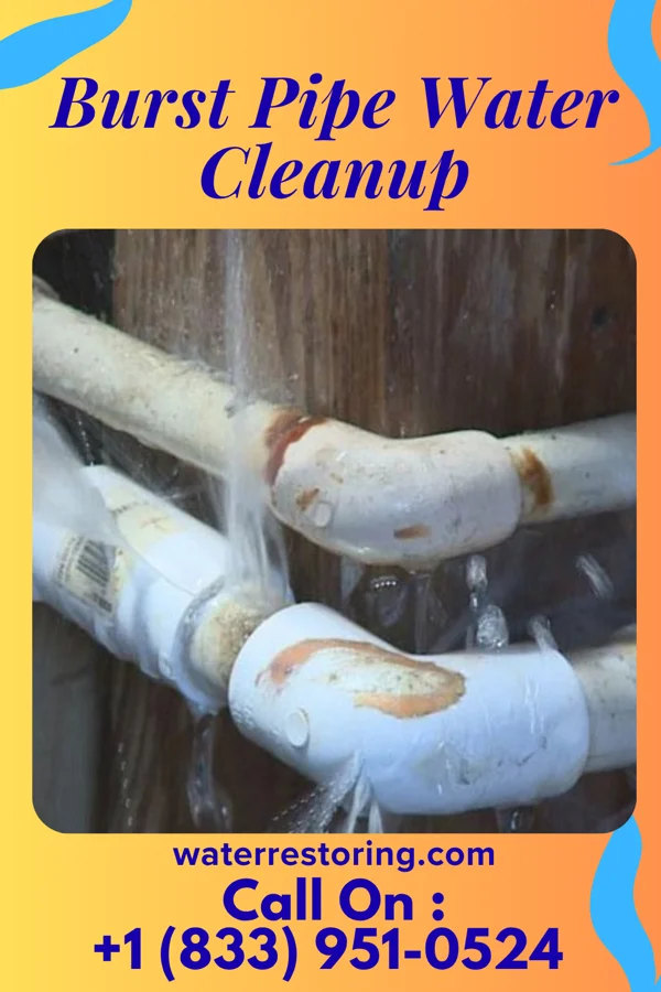Burst Pipe Water Cleanup in Neponset, IL