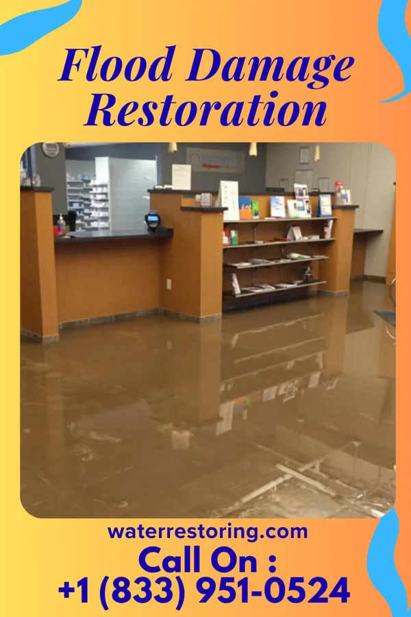 Flood Damage Restoration in Neponset, IL