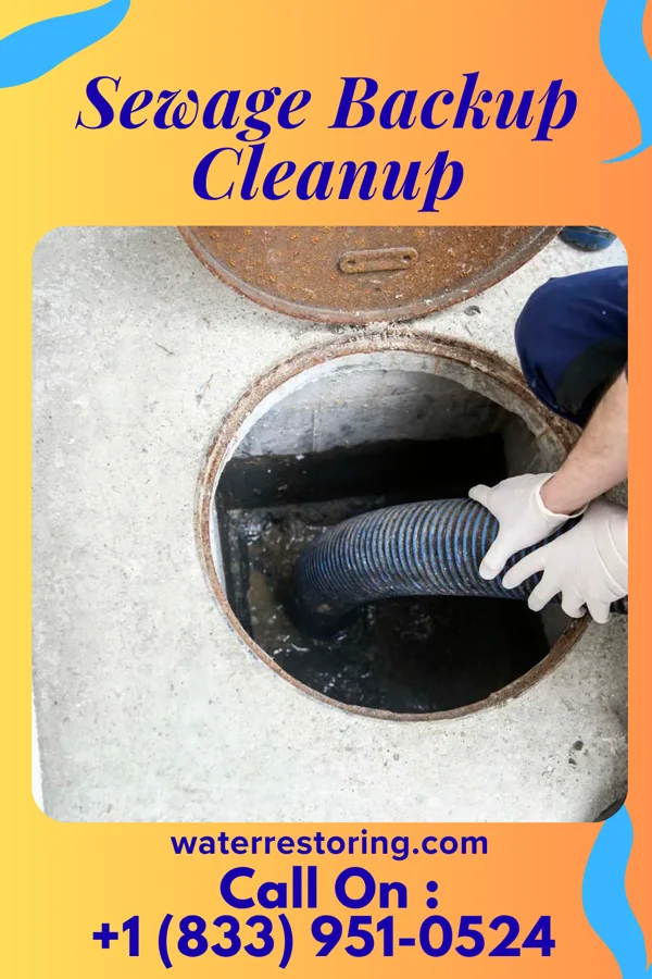 Sewage Backup Cleanup in Neponset, IL