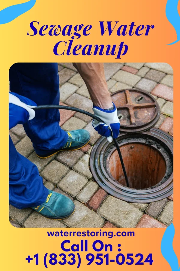 Sewage Water Cleanup in Neponset, IL